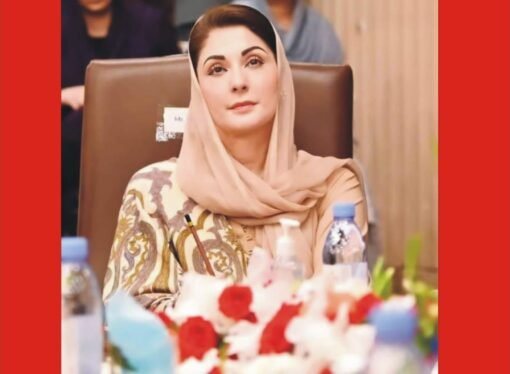 پنجاب کی پہلی خاتون وزیراعلی