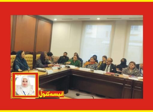 ویمنز پارلیمنٹری کاکس کااسلام آباد میں اہم اجلاس