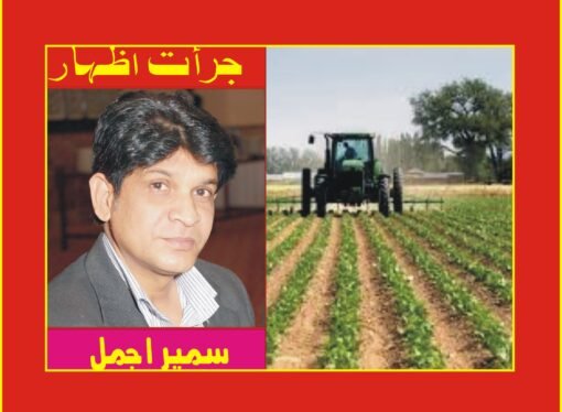 کارپوریٹ فارمنگ‘ چھوٹے کاشتکاروں کے لئے بڑا خطرہ