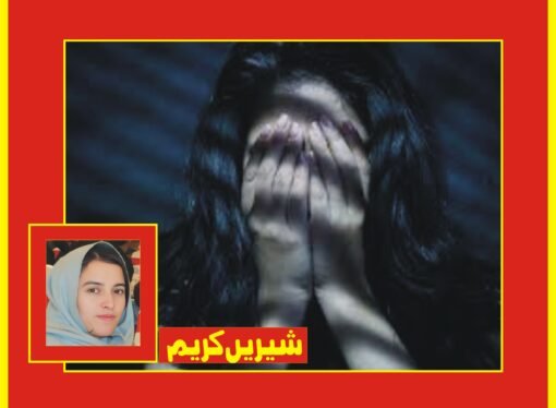 صنفی بنیاد پر تشدد کے واقعات میں خطرناک حد تک اضافہ ‘ایس ایس ڈی او نے رپورٹ جاری کردی