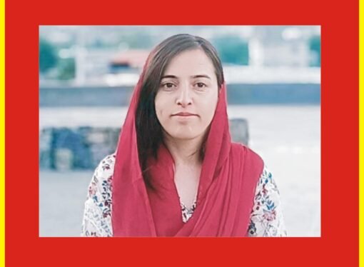 گلگت بلتستان : خواتین کی خودکشی کے واقعات میں اضافہ ‘سول سوسائٹی کے لئے لمحہ فکریہ