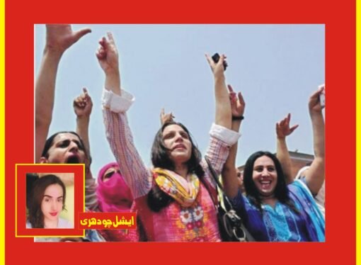 پاک فوج سے اظہار یک جہتی کے لئے کراچی میں خواجہ سراؤں کا مظاہرہ