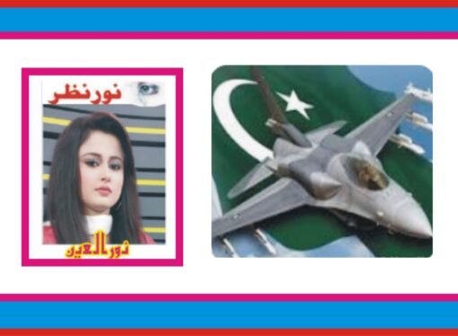 بھارتی جارحیت اور پاکستان کا پُر عزم دفاع