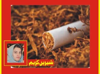 گلگت بلتستان: کابینہ نے ٹوبیکو کنٹرول ایکٹ کی منظوری دے دی