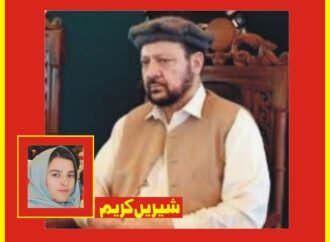 ملکی سلامتی کے لیے سب متحد ہیں ‘وزیر اعلی جی بی