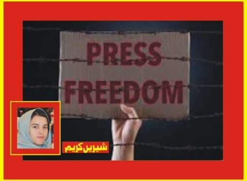 میڈیا کو پالیسی سازی اور قانون سازی میں ایک بنیادی فریق کے طور پر شامل کیا جائے ‘پی پی ایف