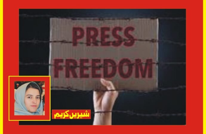 میڈیا کو پالیسی سازی اور قانون سازی میں ایک بنیادی فریق کے طور پر شامل کیا جائے ‘پی پی ایف