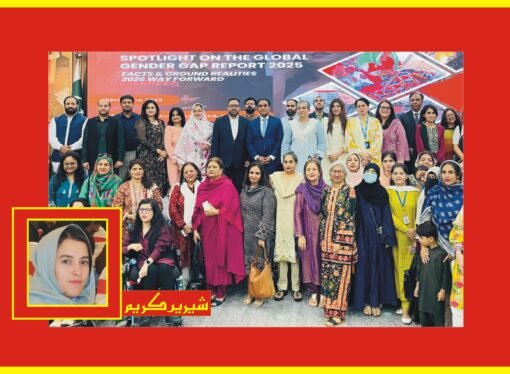 عالمی صنفی تفریق کے حوالے سے جاری رپورٹ کے جائزہ کے لیے سیمینارکا انعقاد