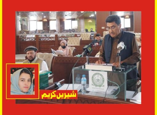 گلگت بلتستان مالی سال 2025-26 کے لیے ایک کھرب 48 ارب روپے سے زائد کا بجٹ پیش کردیا گیا