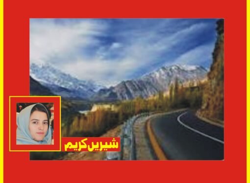 سیکیورٹی خدشات ‘قراقرم ہائی وے راولپنڈی تا گلگت سیکشن 13 محرم الحرام تک بند رکھنے کا فیصلہ