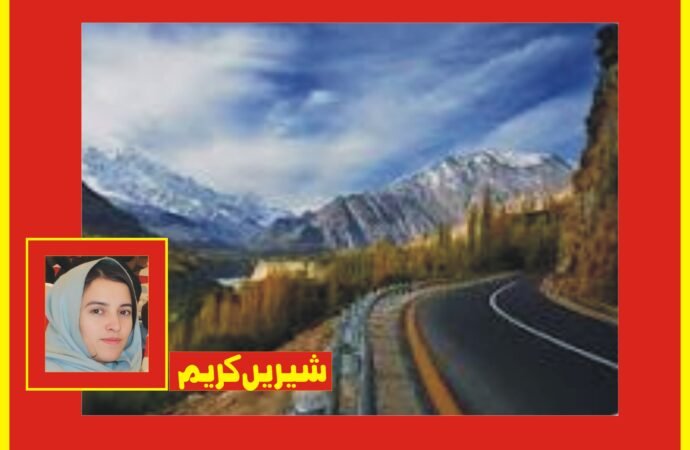 سیکیورٹی خدشات ‘قراقرم ہائی وے راولپنڈی تا گلگت سیکشن 13 محرم الحرام تک بند رکھنے کا فیصلہ