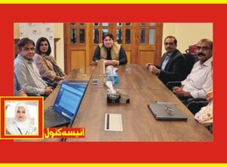 فغان مہاجرین کی باوقار زندگی، ہنرمندی اور خودمختاری وقت کی ضرورت ہے، کمشنر برائے افغان