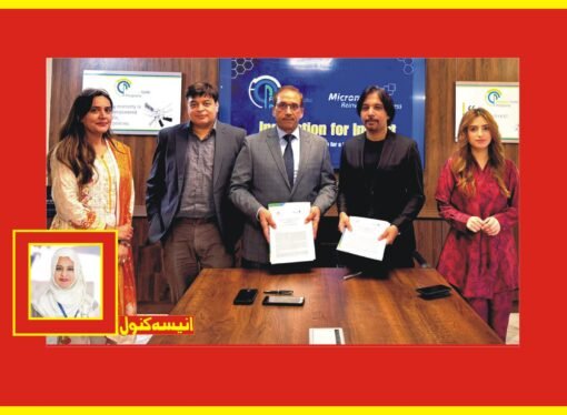 ایف جی پی اور مائیکروناکی جانب سے ترقیاتی شعبے میں نئے مشترکہ منصوبوں کیلئے اشتراک عمل سے متعلق عزم کا اظہار