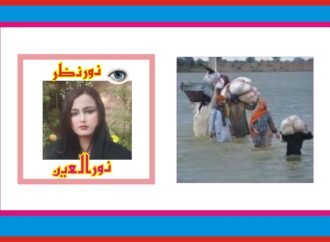 سیلاب کی تباہ کاہ ریاں اور مستقبل کے لیے مربوط حکمت عملی کی ضرورت