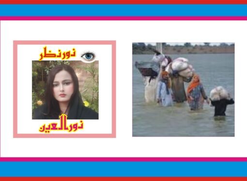 سیلاب کی تباہ کاہ ریاں اور مستقبل کے لیے مربوط حکمت عملی کی ضرورت