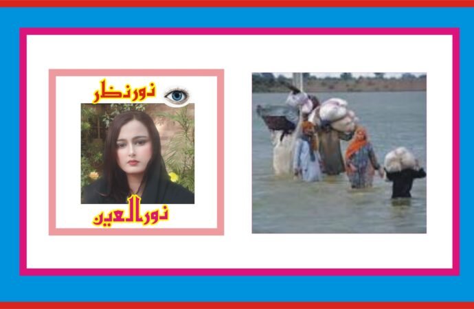 سیلاب کی تباہ کاہ ریاں اور مستقبل کے لیے مربوط حکمت عملی کی ضرورت