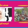 سیلاب میں ڈوبتی انسانیت: کشتی بانوں کی بلیک میلنگ کی کہانی