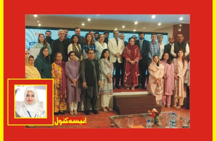 نیشنل جینڈر پیریٹی رپورٹ اور ڈیٹا کی ہم آہنگی کے حوالے سے این سی ایس ڈبلیو کے زیر اہتمام مشاورتی اجلاس