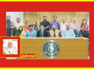 پنجاب میں میڈیا سیفٹی قانون کے نفاذ اور وفاقی کمیشن کے قیام کا مطالبہ
