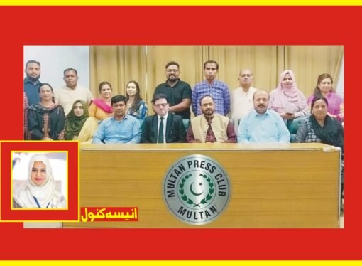پنجاب میں میڈیا سیفٹی قانون کے نفاذ اور وفاقی کمیشن کے قیام کا مطالبہ