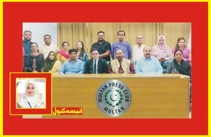 پنجاب میں میڈیا سیفٹی قانون کے نفاذ اور وفاقی کمیشن کے قیام کا مطالبہ
