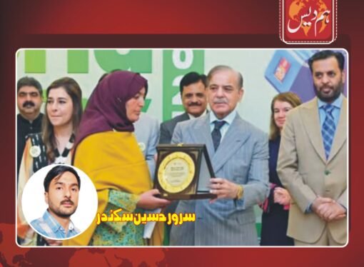 دور دراز وادی سے اُبھرتی روشنی صدیقہ بتول کی کہانی