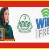 فیصل آباد میں 100 مقامات پر مفت وائی فائی کی سہولت کا آغاز کر دیا گیا ہے