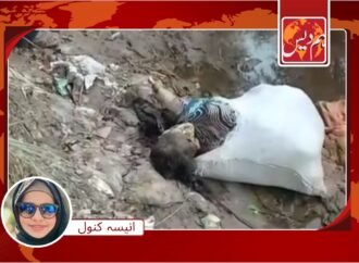 بھانجے کے ہاتھوں خالہ کا بہیمانہ قتل، لاش نہر میں پھینک دی گئی
