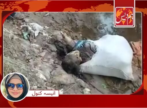 بھانجے کے ہاتھوں خالہ کا بہیمانہ قتل، لاش نہر میں پھینک دی گئی