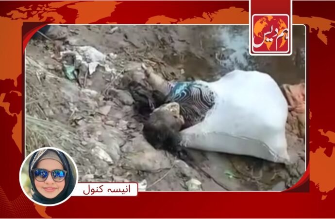 بھانجے کے ہاتھوں خالہ کا بہیمانہ قتل، لاش نہر میں پھینک دی گئی