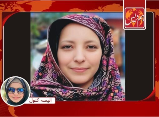 پشاور پریس کلب کی پہلی خاتون صدر انیلہ شاہین انتقال کر گئیں