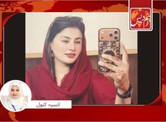 سوشل میڈیا انفلونسر شوہر کے ہاتھوں قتل ‘قاتل شوہر نے خود کشی کر لی