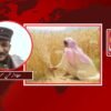 امرت نگر دیاں کڑیاں منڈیاں توں اُتے۔۔۔!
