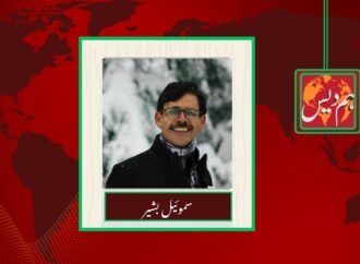 مساوی شہریت: کیا اب آئینی مکالمے کا وقت آ گیا ہے؟